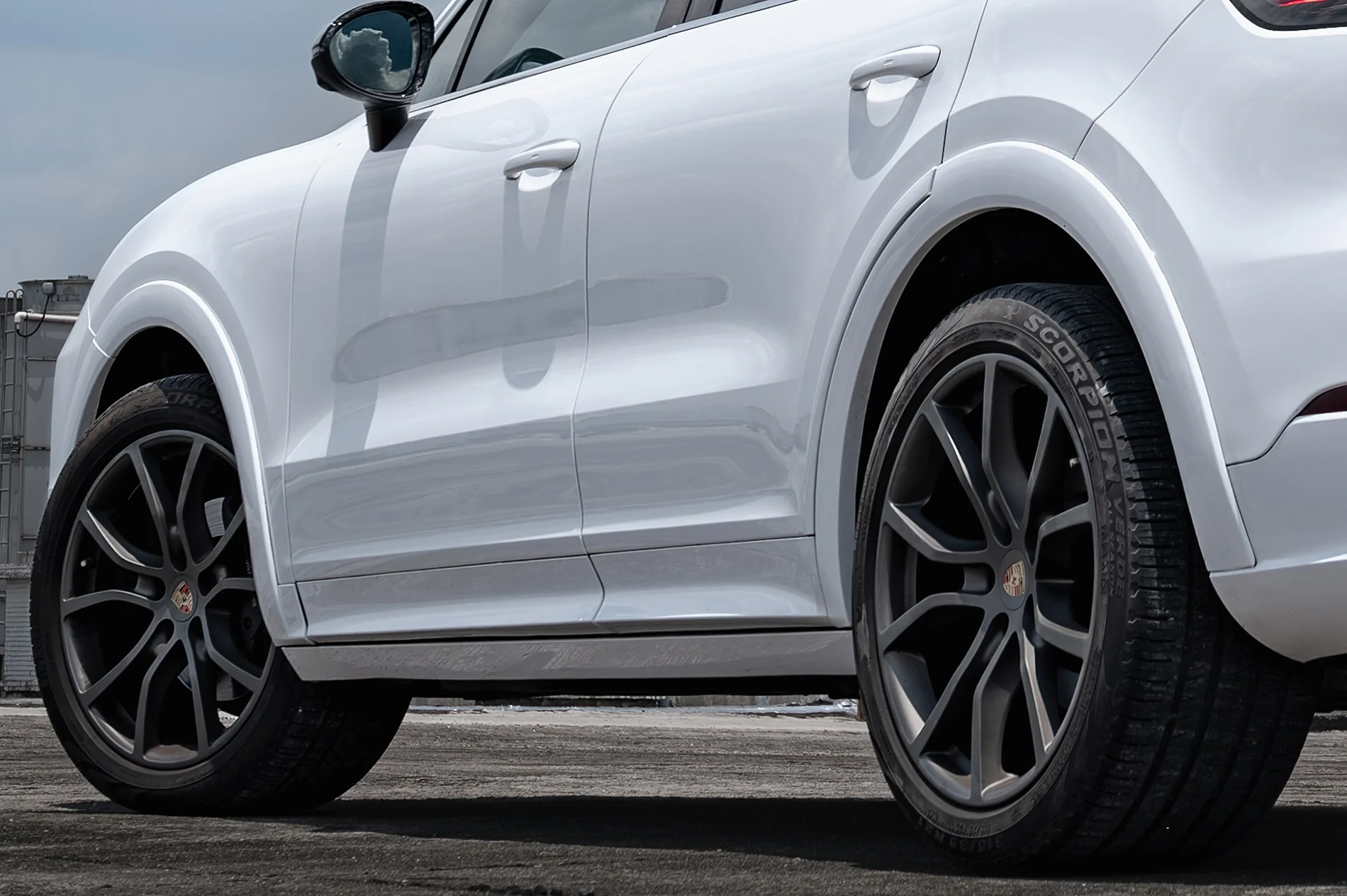 DSC_2616-已增强-降噪 拷贝.webp