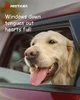 20250806-102236.webp